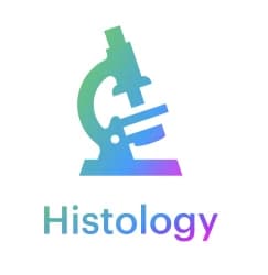 histology tanta (clinical)