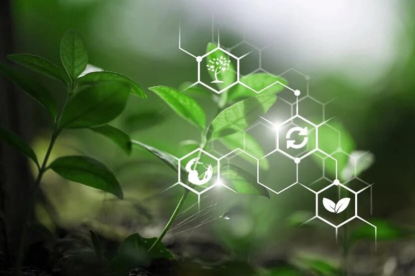 natural health product (NHP)