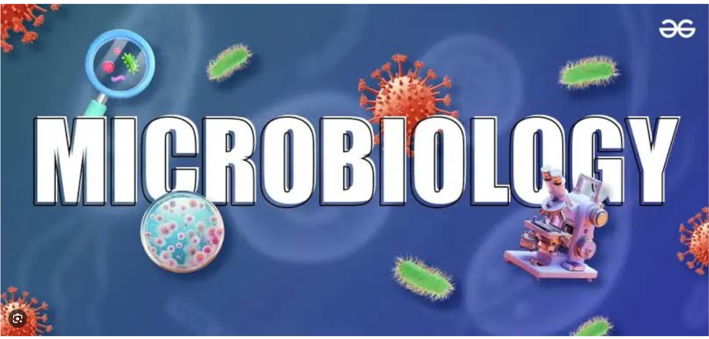 microbiology Bahrain