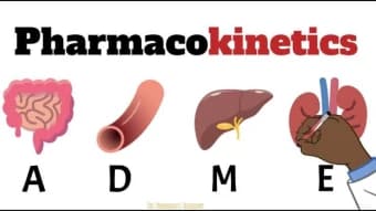 pharmacokinetics