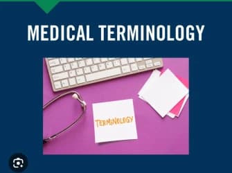 terminology ALsalam